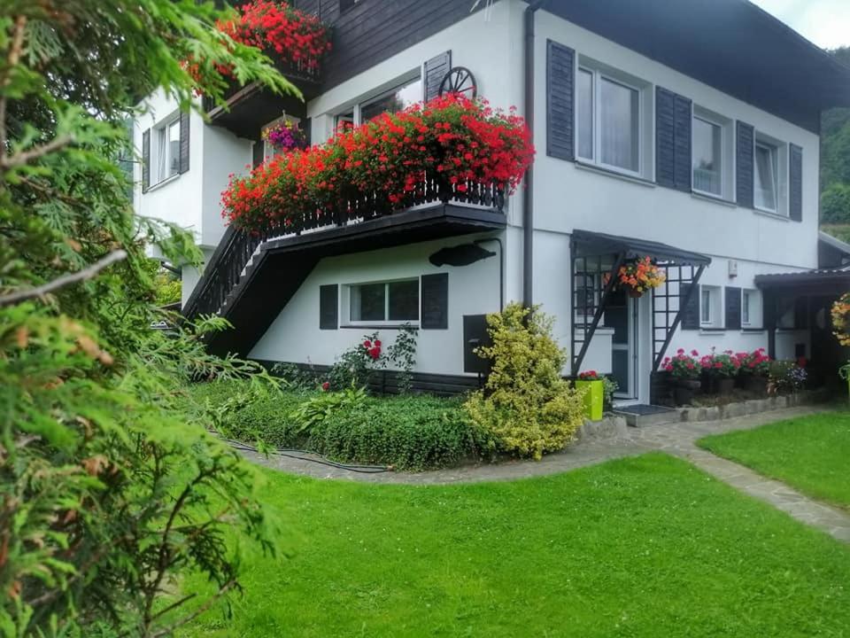 Apartment Bukowy Z Basenem Szczyrk